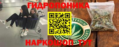 кокс Моздок