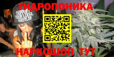 кокс Моздок