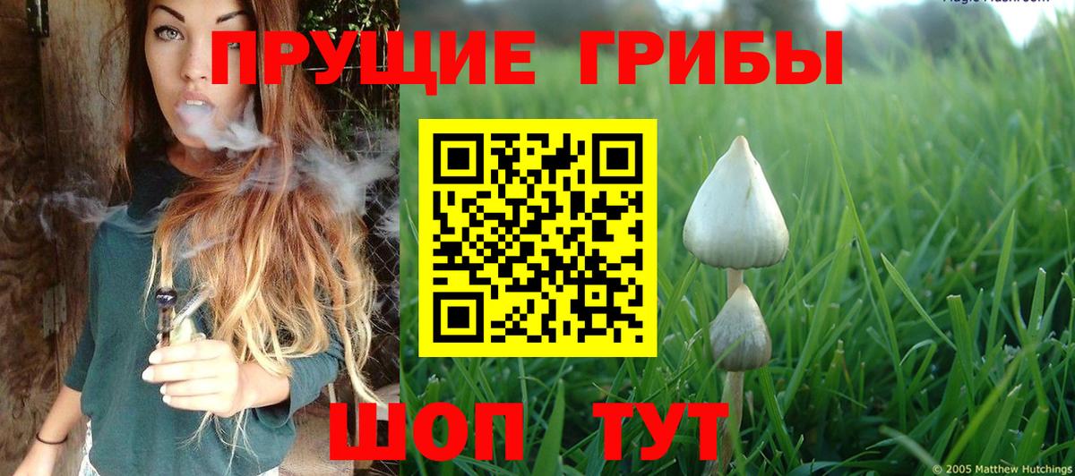 Галлюциногенные грибы прущие грибы Строитель